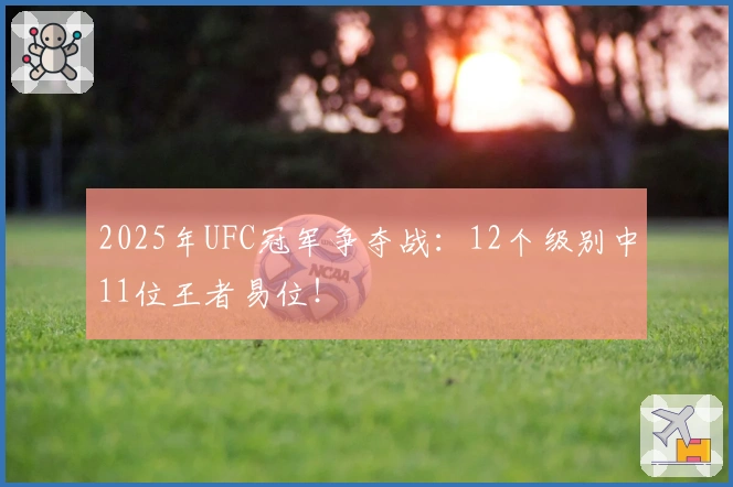 2025年UFC冠军争夺战：12个级别中11位王者易位！