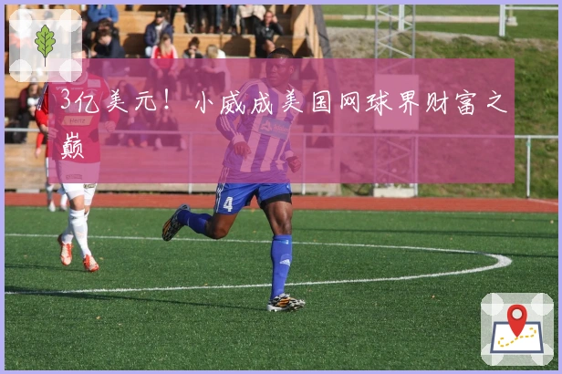 3亿美元！小威成美国网球界财富之巅