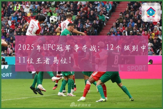 2025年UFC冠军争夺战：12个级别中11位王者易位！