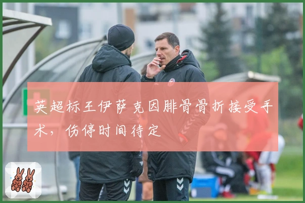 英超标王伊萨克因腓骨骨折接受手术，伤停时间待定