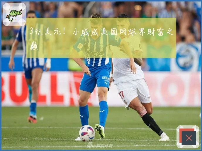 3亿美元！小威成美国网球界财富之巅